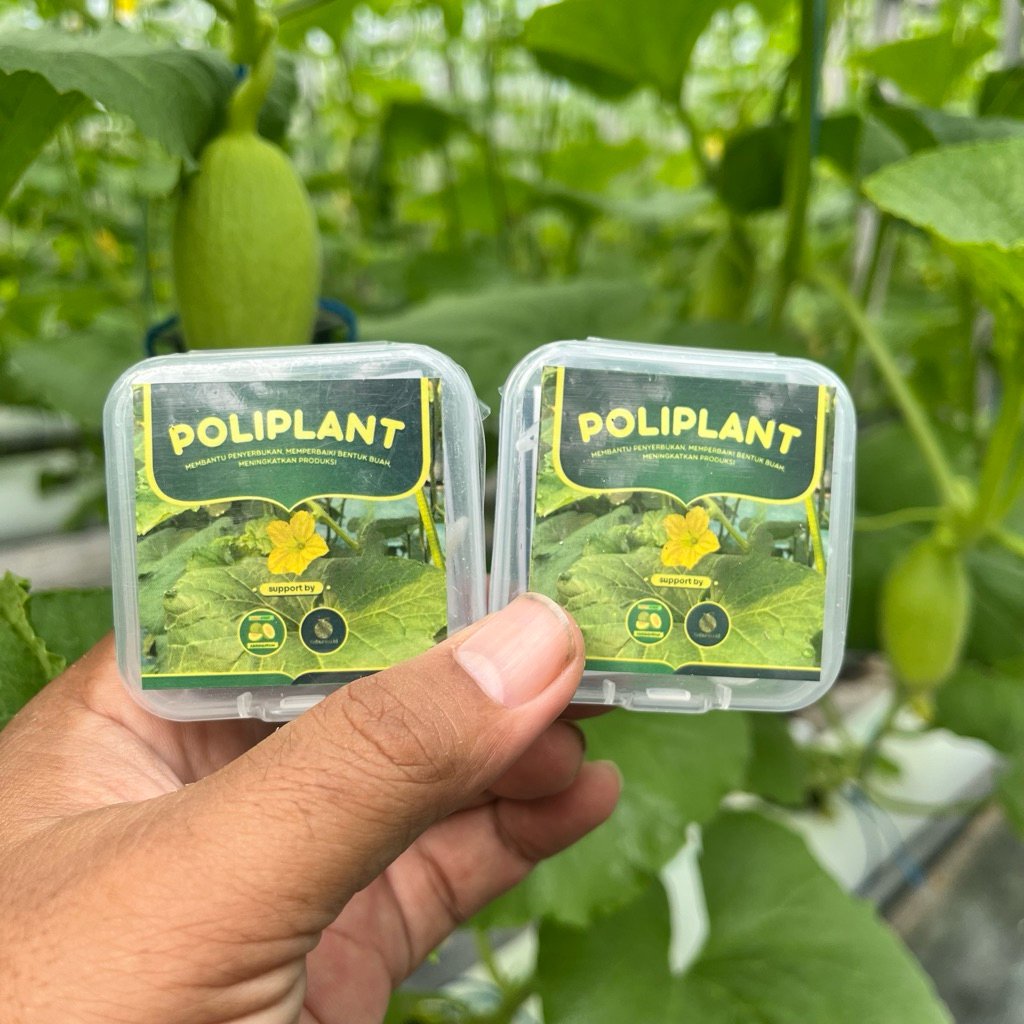 Sistem IoT autodosing greenhouse melon hidroponik di Blitar oleh LadangWohIjo — monitoring nutrisi otomatis modern